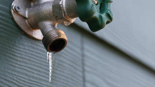 Best Residential Plumbing Services  in Palm Valley, TX