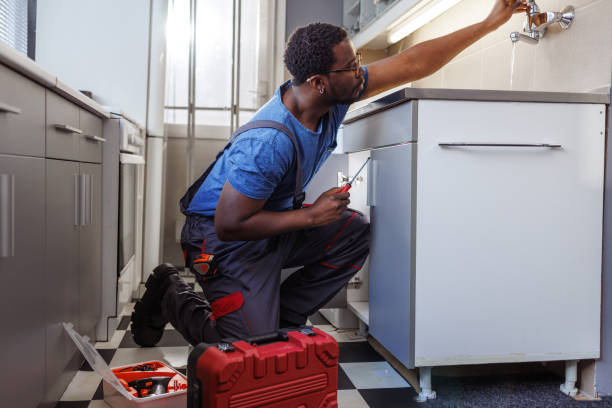 Best Water Softener Installation  in Palm Valley, TX